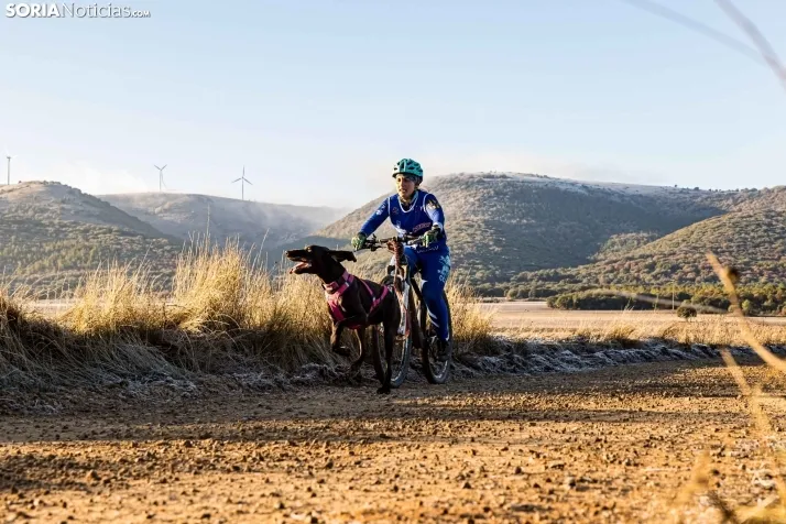 Fotos: &Oacute;lvega vuelve a convertirse en el epicentro nacional del mushing