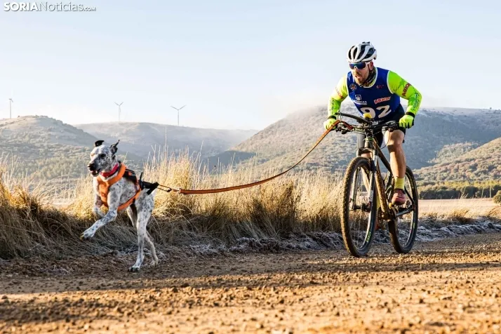 Fotos: &Oacute;lvega vuelve a convertirse en el epicentro nacional del mushing