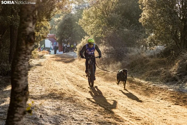 Fotos: &Oacute;lvega vuelve a convertirse en el epicentro nacional del mushing