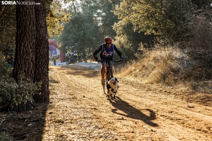 Fotos: &Oacute;lvega vuelve a convertirse en el epicentro nacional del mushing