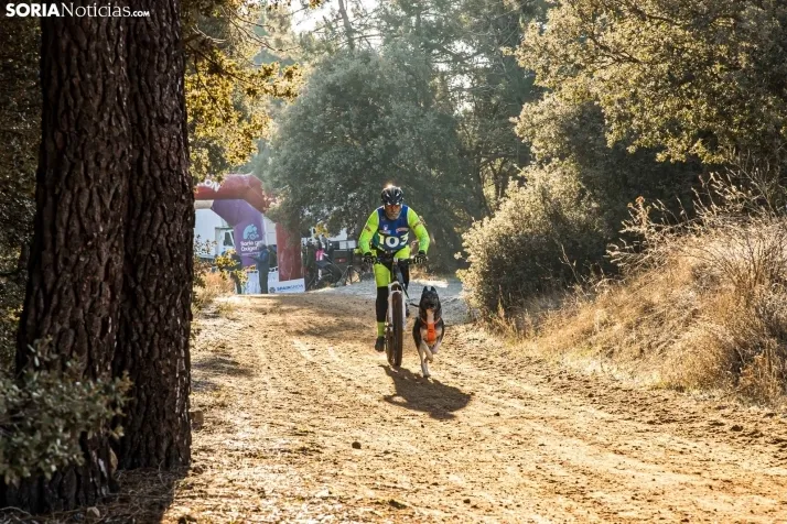 Fotos: &Oacute;lvega vuelve a convertirse en el epicentro nacional del mushing