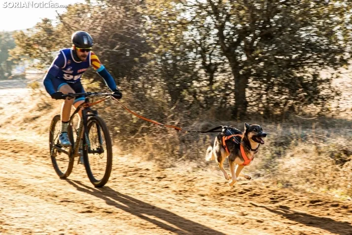 Fotos: &Oacute;lvega vuelve a convertirse en el epicentro nacional del mushing