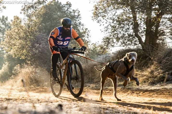 Fotos: &Oacute;lvega vuelve a convertirse en el epicentro nacional del mushing