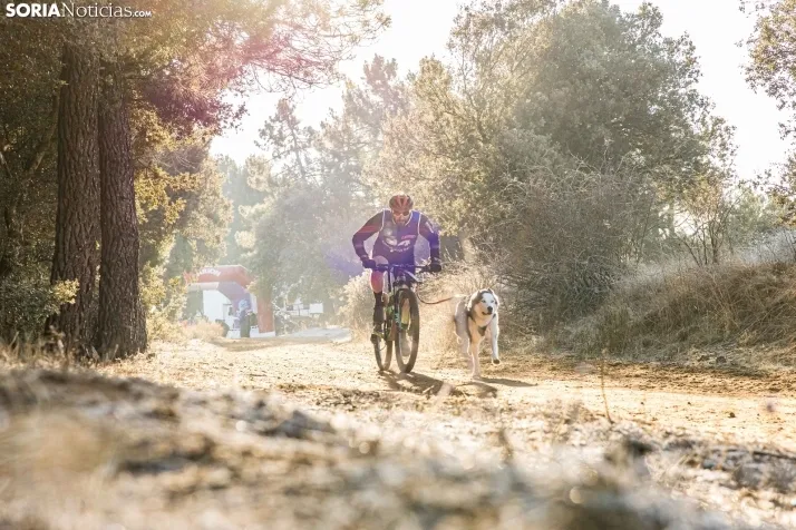 Fotos: &Oacute;lvega vuelve a convertirse en el epicentro nacional del mushing