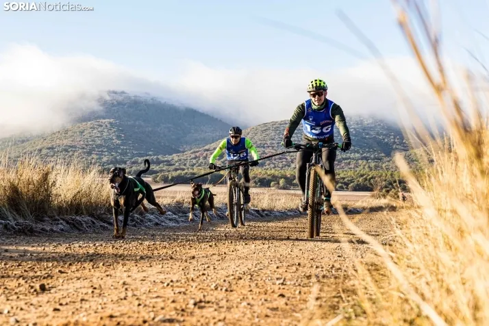 Fotos: &Oacute;lvega vuelve a convertirse en el epicentro nacional del mushing