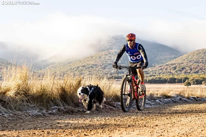 Fotos: &Oacute;lvega vuelve a convertirse en el epicentro nacional del mushing