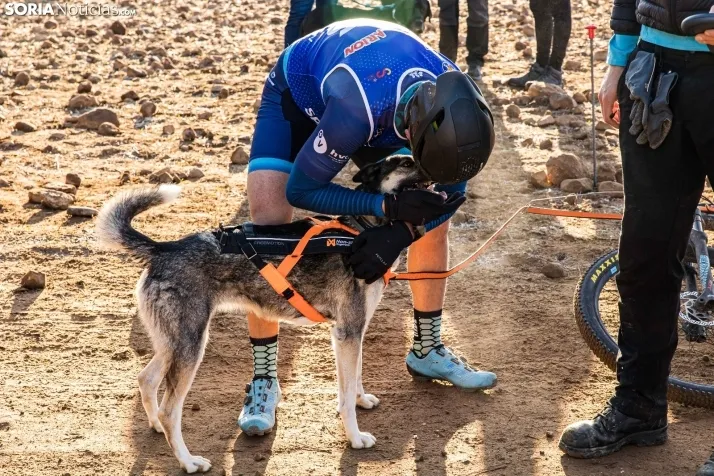 Fotos: &Oacute;lvega vuelve a convertirse en el epicentro nacional del mushing