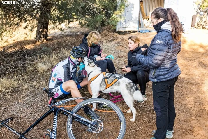 Fotos: &Oacute;lvega vuelve a convertirse en el epicentro nacional del mushing