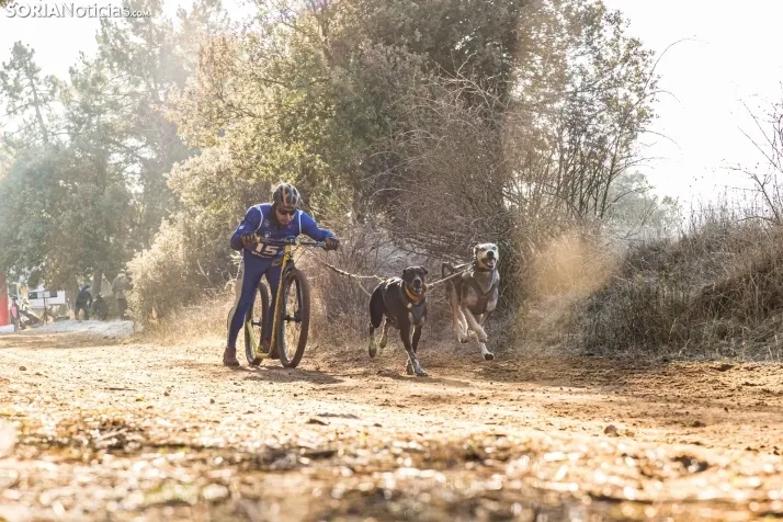 Fotos: &Oacute;lvega vuelve a convertirse en el epicentro nacional del mushing