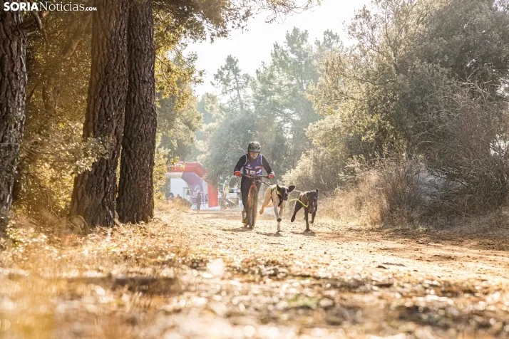 Fotos: &Oacute;lvega vuelve a convertirse en el epicentro nacional del mushing