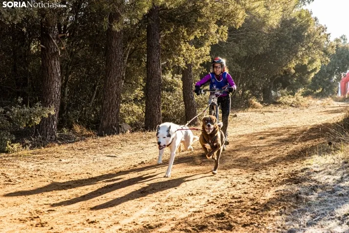 Fotos: &Oacute;lvega vuelve a convertirse en el epicentro nacional del mushing