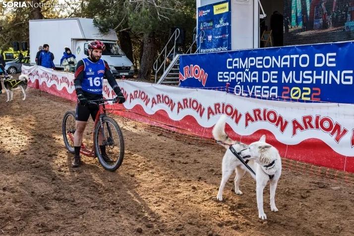 Fotos: &Oacute;lvega vuelve a convertirse en el epicentro nacional del mushing