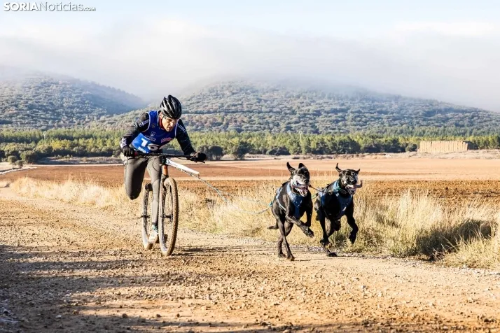 Fotos: &Oacute;lvega vuelve a convertirse en el epicentro nacional del mushing