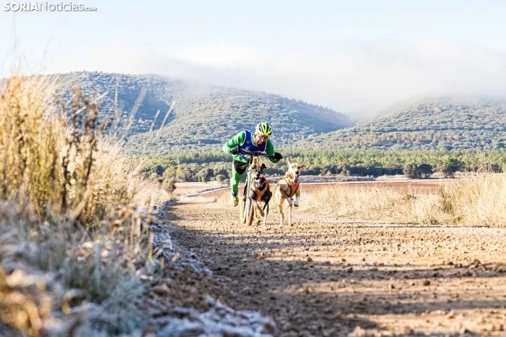 Fotos: &Oacute;lvega vuelve a convertirse en el epicentro nacional del mushing