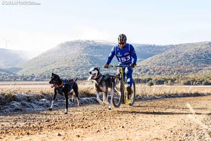 Fotos: &Oacute;lvega vuelve a convertirse en el epicentro nacional del mushing