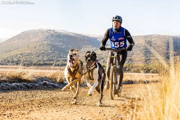 Fotos: &Oacute;lvega vuelve a convertirse en el epicentro nacional del mushing