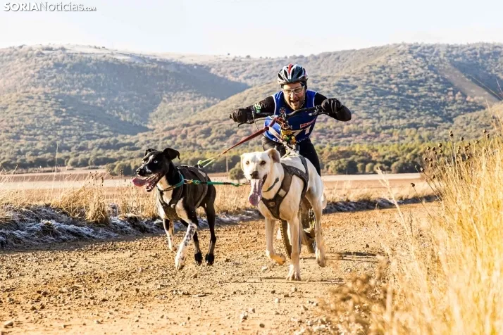 Fotos: &Oacute;lvega vuelve a convertirse en el epicentro nacional del mushing