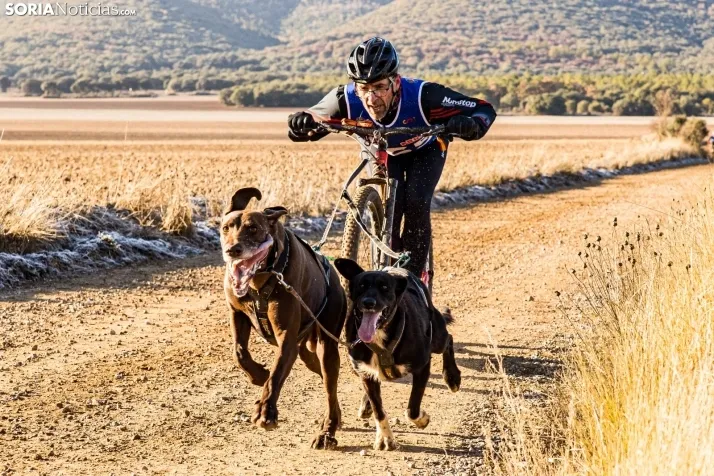 Fotos: &Oacute;lvega vuelve a convertirse en el epicentro nacional del mushing