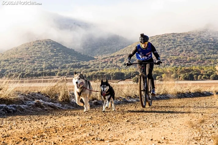 Fotos: &Oacute;lvega vuelve a convertirse en el epicentro nacional del mushing