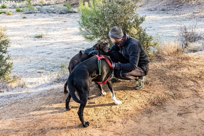 Fotos: &Oacute;lvega vuelve a convertirse en el epicentro nacional del mushing