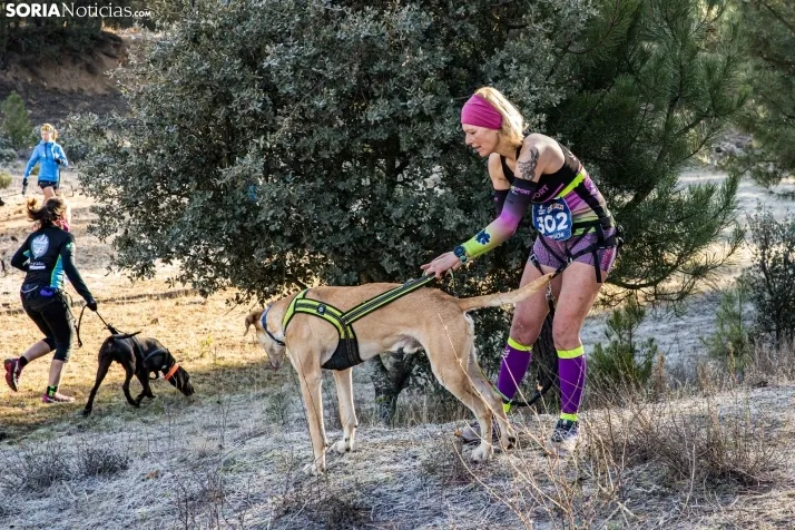 Fotos: &Oacute;lvega vuelve a convertirse en el epicentro nacional del mushing