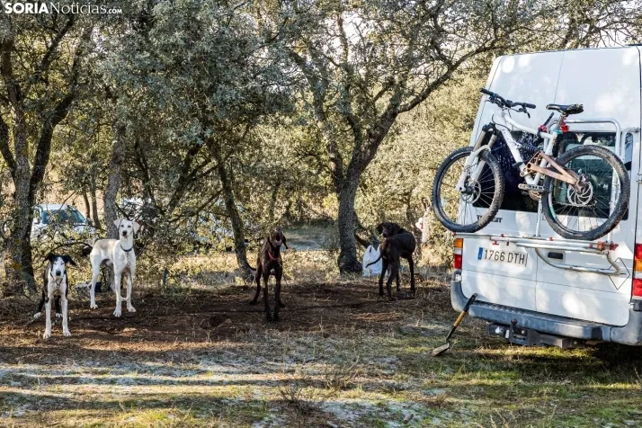 Fotos: &Oacute;lvega vuelve a convertirse en el epicentro nacional del mushing