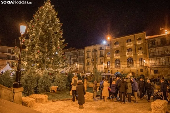 En im&aacute;genes: el encendido navide&ntilde;o deja fr&iacute;o a Soria&nbsp;