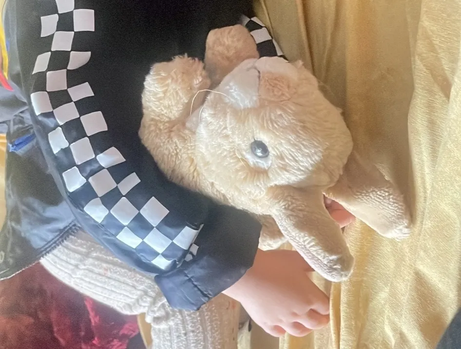 Foto 2 - 'Conejito' se ha perdido y su mejor amiga quiere que vuelva a casa