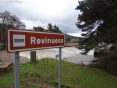 Imagen del Revinuesa a su paso por el municipio visontino. /SN