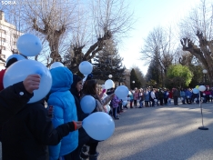 Una imagen de los escolares hoy en la Dehesa. /SN