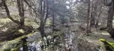 Foto 18 - Fotos: As&iacute; luce en todo su esplendor la Fuentona&hellip; &iexcl;y su cascada!