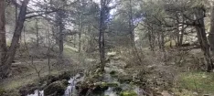 Foto 16 - Fotos: As&iacute; luce en todo su esplendor la Fuentona&hellip; &iexcl;y su cascada!