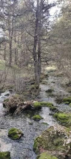 Foto 14 - Fotos: As&iacute; luce en todo su esplendor la Fuentona&hellip; &iexcl;y su cascada!