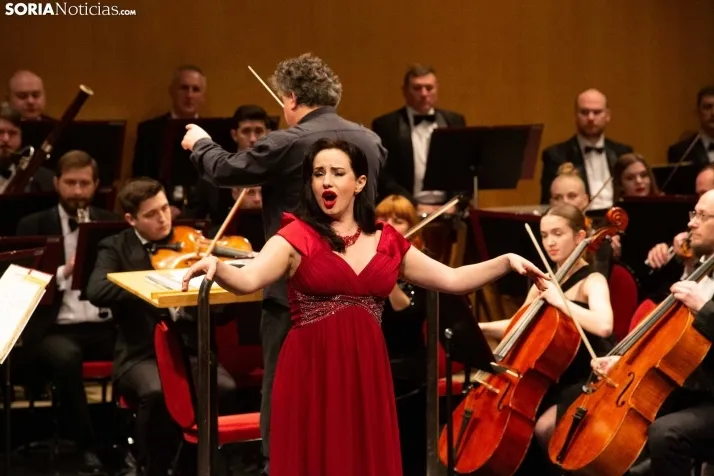 Concierto de Año Nuevo