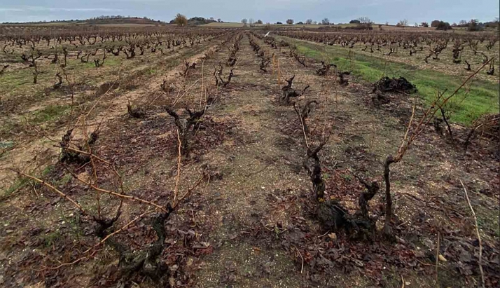 Culminan esta semana las jornadas Cultiva en Villálvaro