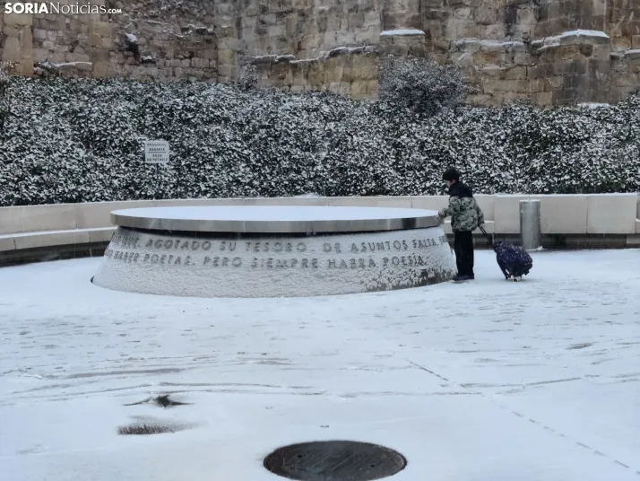 La galer&iacute;a m&aacute;s blanca: Soria amanece jugando con la nieve
