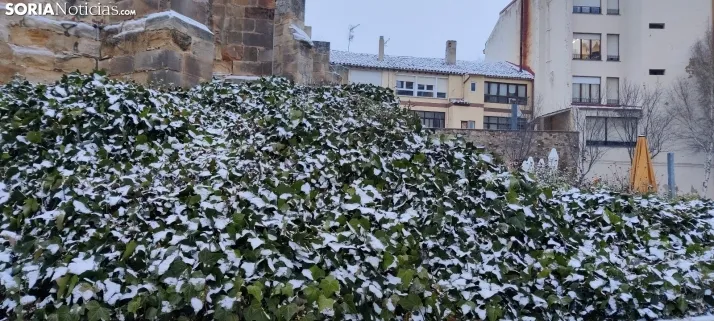 La galer&iacute;a m&aacute;s blanca: Soria amanece jugando con la nieve