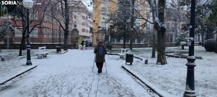 La galer&iacute;a m&aacute;s blanca: Soria amanece jugando con la nieve