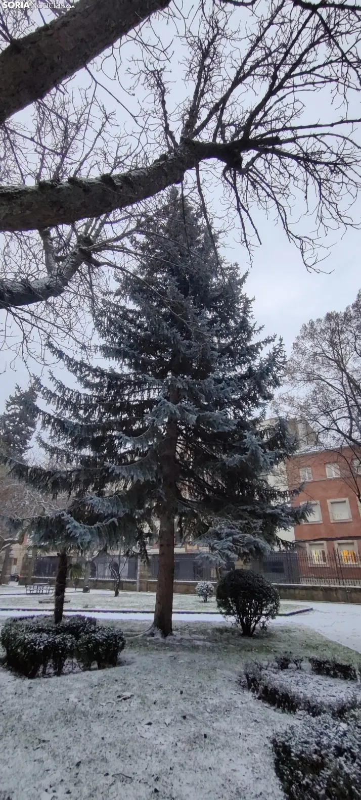 La galer&iacute;a m&aacute;s blanca: Soria amanece jugando con la nieve