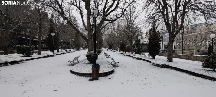 La galer&iacute;a m&aacute;s blanca: Soria amanece jugando con la nieve