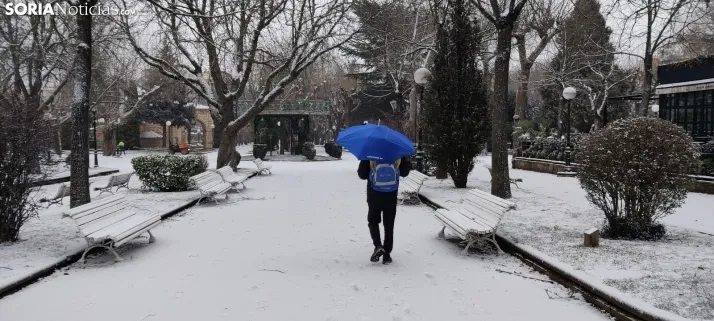 La galer&iacute;a m&aacute;s blanca: Soria amanece jugando con la nieve