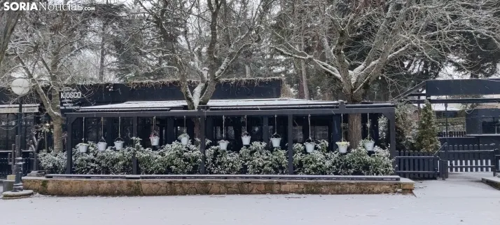 La galer&iacute;a m&aacute;s blanca: Soria amanece jugando con la nieve