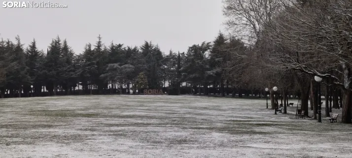 La galer&iacute;a m&aacute;s blanca: Soria amanece jugando con la nieve