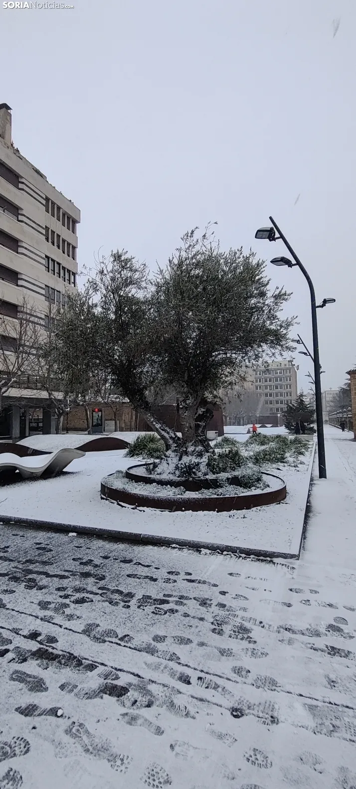 La galer&iacute;a m&aacute;s blanca: Soria amanece jugando con la nieve