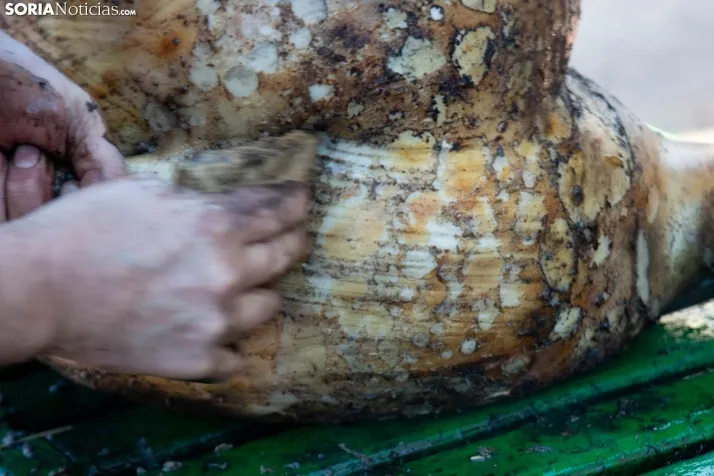 48 Jornadas Ritogastronómicas en el Burgo