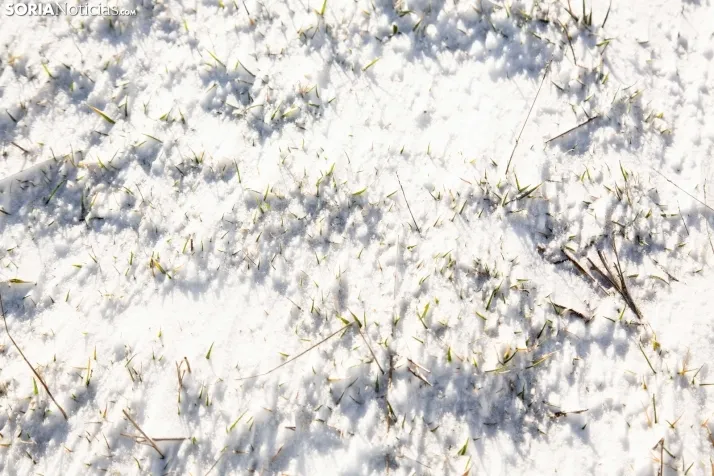 Nevada en Tierras Altas enero 2023