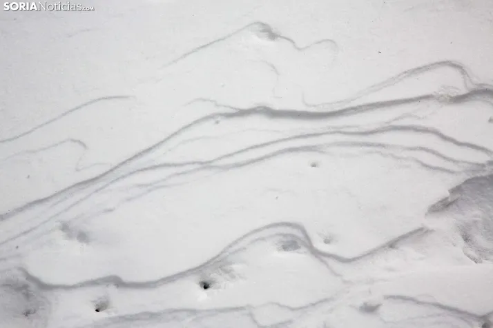 Nevada en Tierras Altas enero 2023