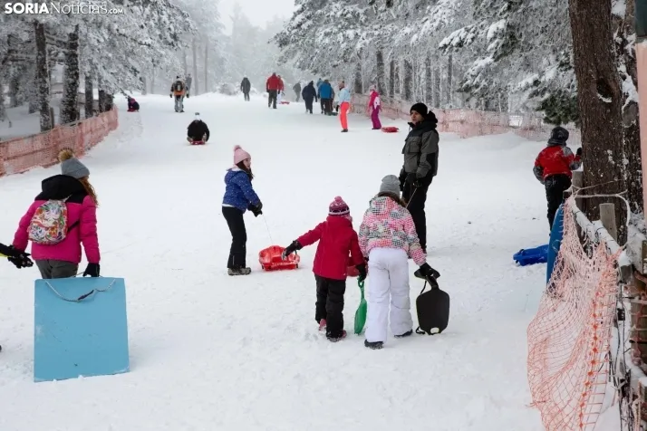 Galería: Una mañana de nieve en Santa Inés