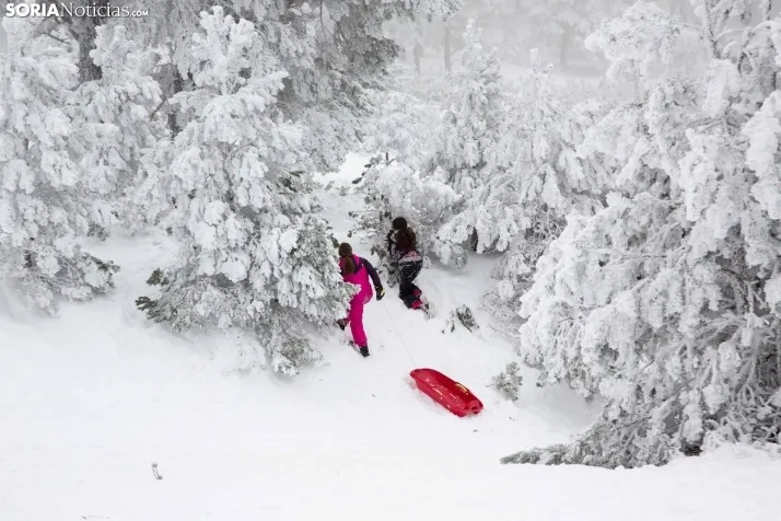 Galería: Una mañana de nieve en Santa Inés