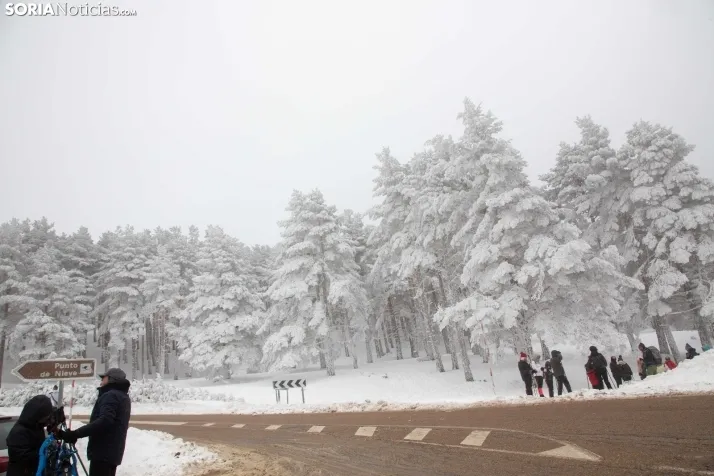 Galería: Una mañana de nieve en Santa Inés